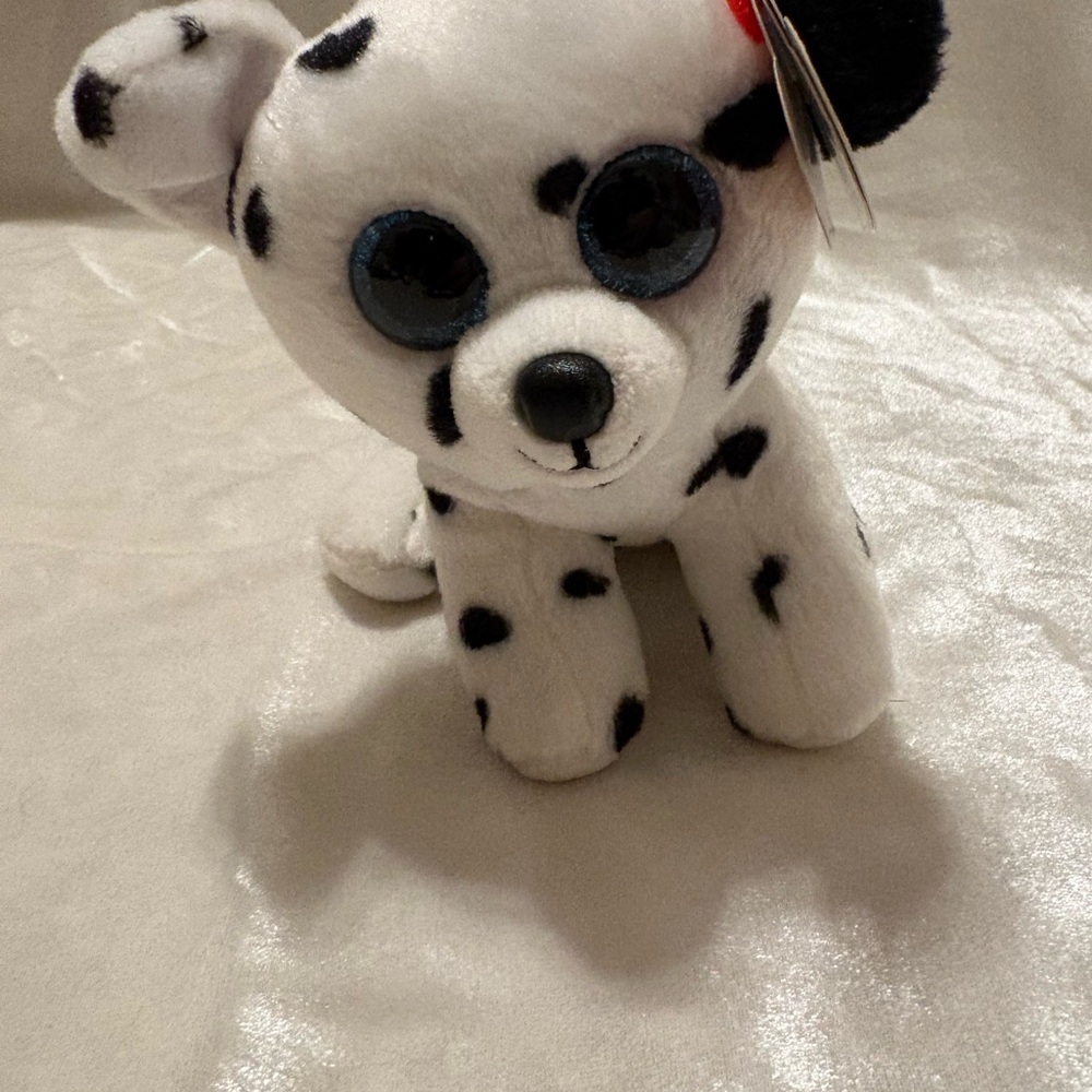 “Catcher Ty Dog Toy - White and Black